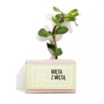 4 szpaki – mydło mięta z miętą 110g