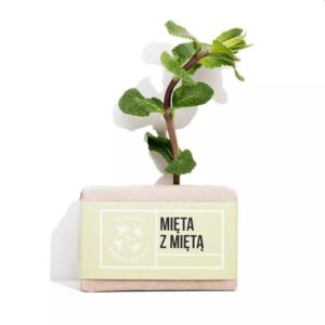 4 szpaki – mydło mięta z miętą 110g