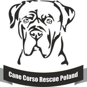 cane corso rescue poland logo