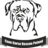 cane corso rescue poland logo