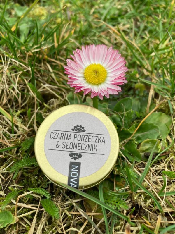 maselko do ust czarna porzeczka slonecznik 2