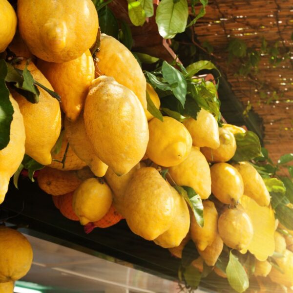 Auna perfumy do domu limoncello 3