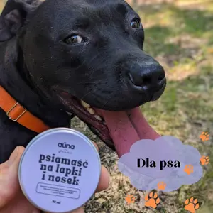 17 auna psiamasc baner