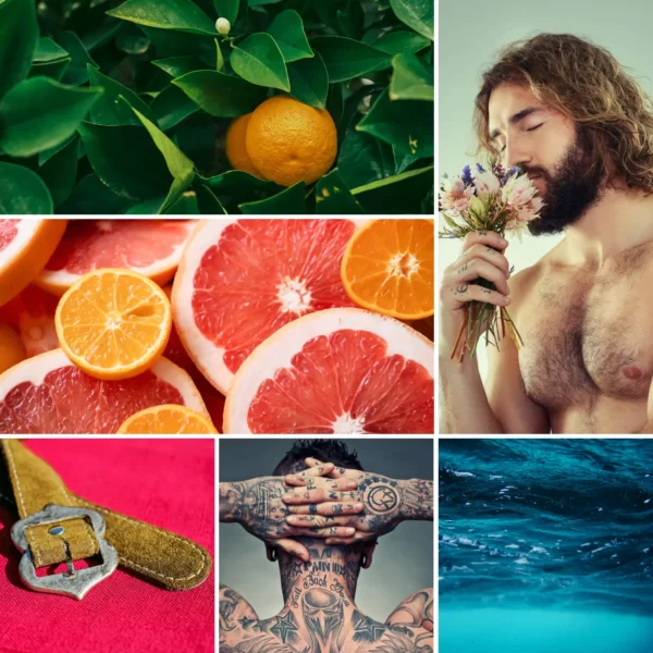 Perfumy w kremie neroli mood