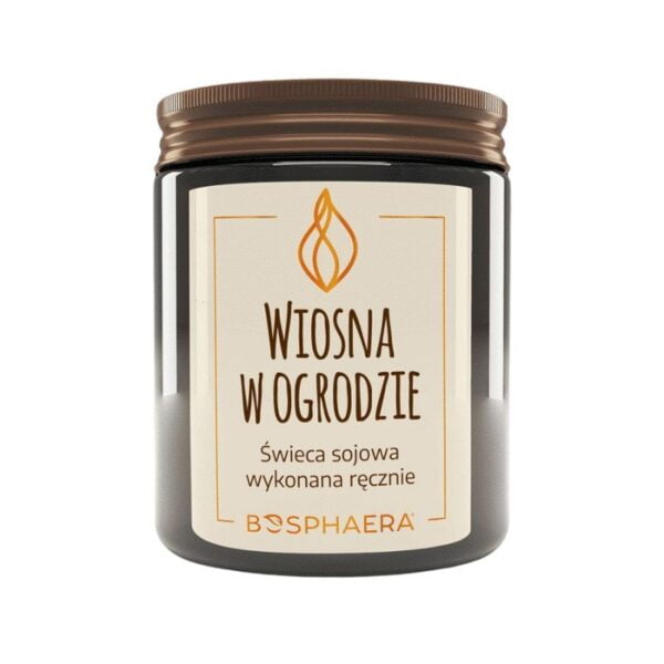 Bosphaera swieca sojowa wiosna w ogrodzie