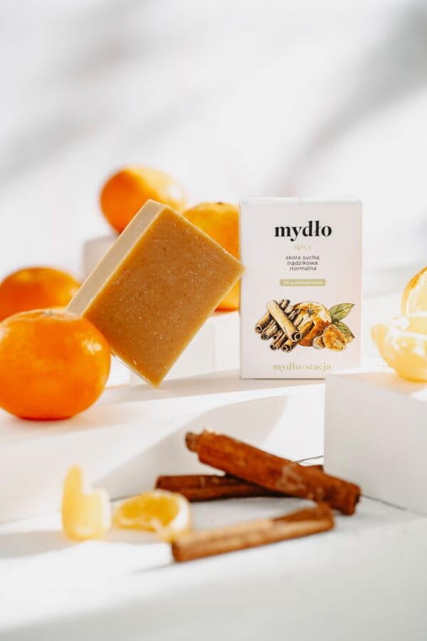 mydlo stacja mydlo swiateczne spicy 120g